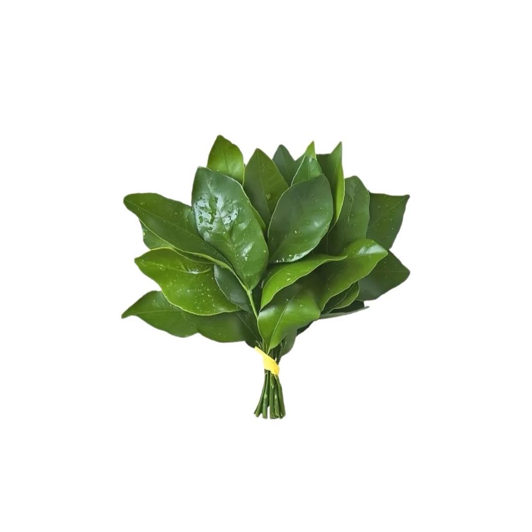 黑芝麻糊糊