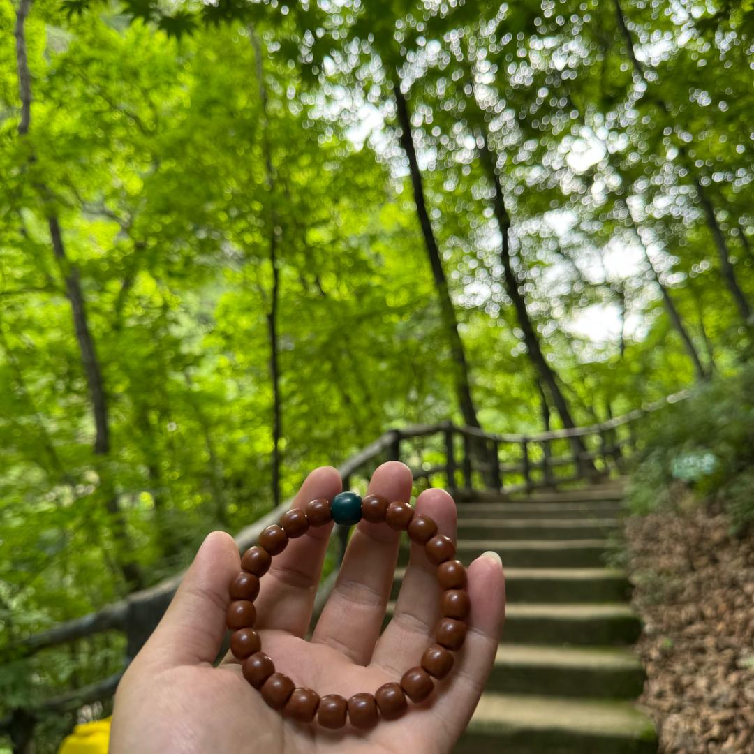 多刷抖音涨知识