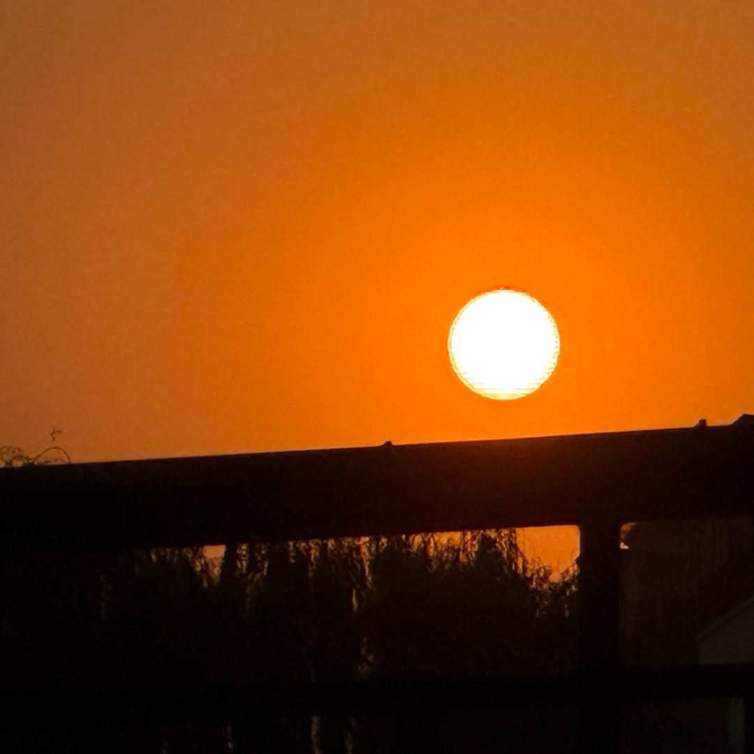 痞橘熊（见过张杰版）