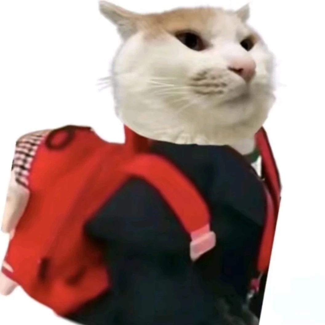 头怎么痒痒的