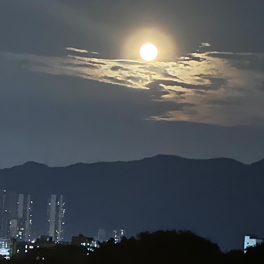 是你的小陈呀