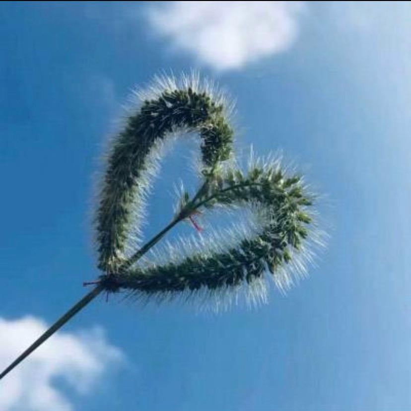 卡卡1
