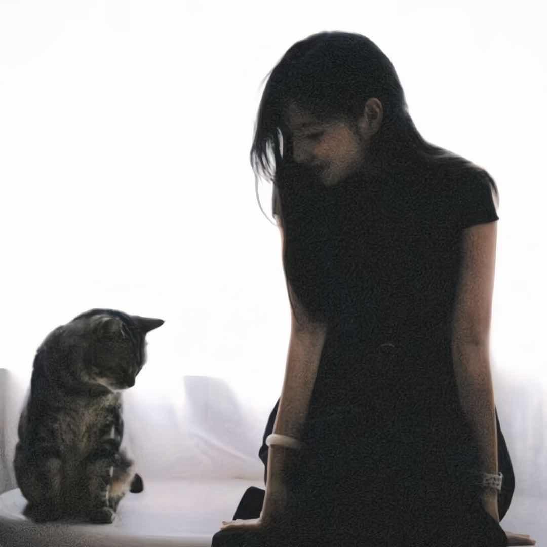梦鱼