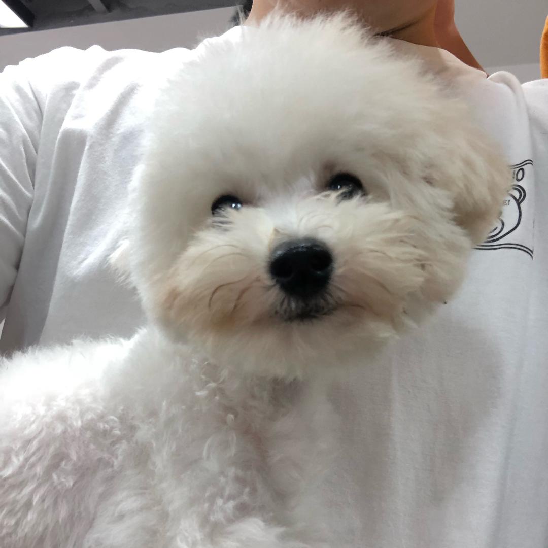 韩小鑫.
