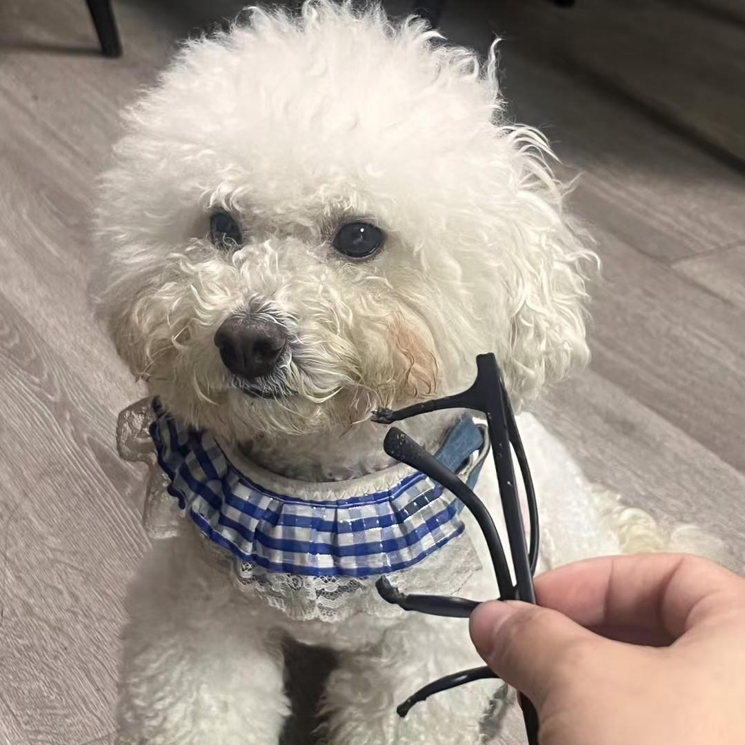 鞋带不要掉