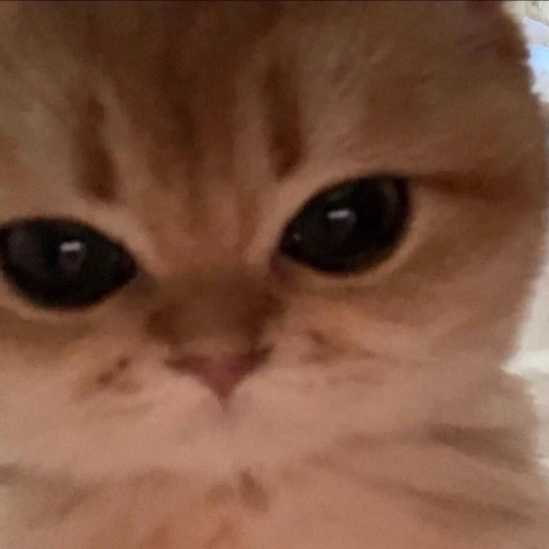 kkrviera_
