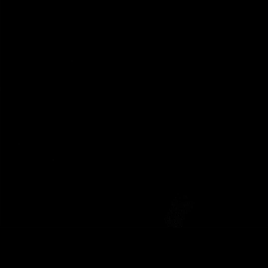 ༄ 𝑺𝒂𝒏𝒈 འཕེལ་ །