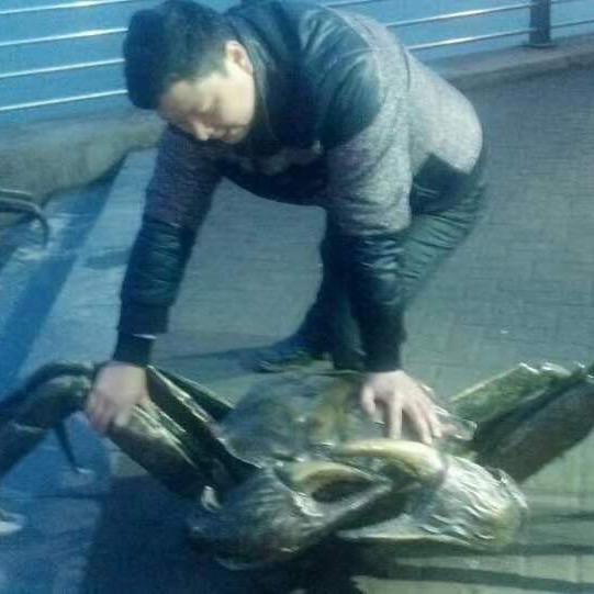 黄老七（努力工作版）