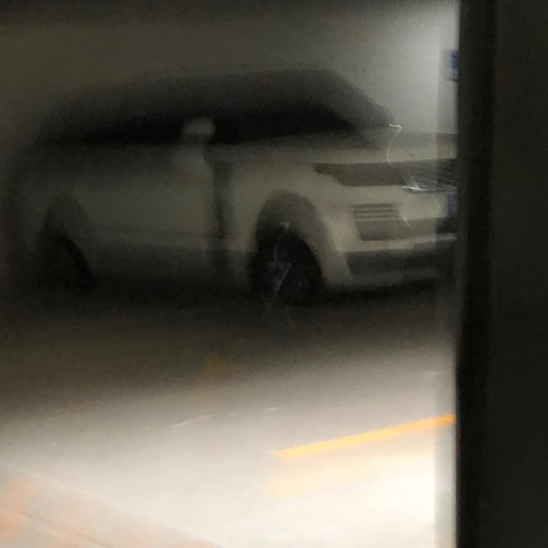 董彦男.