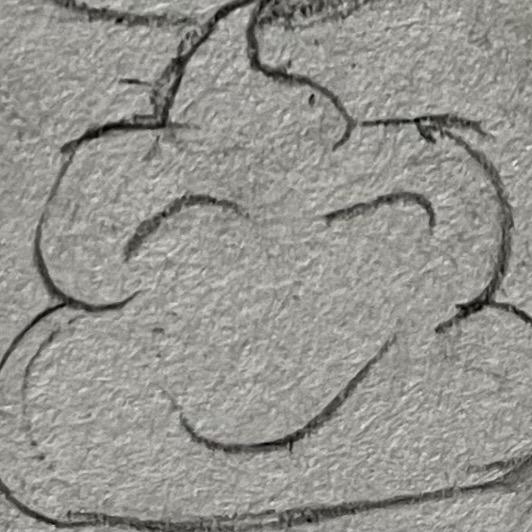 我也不知道叫什么。