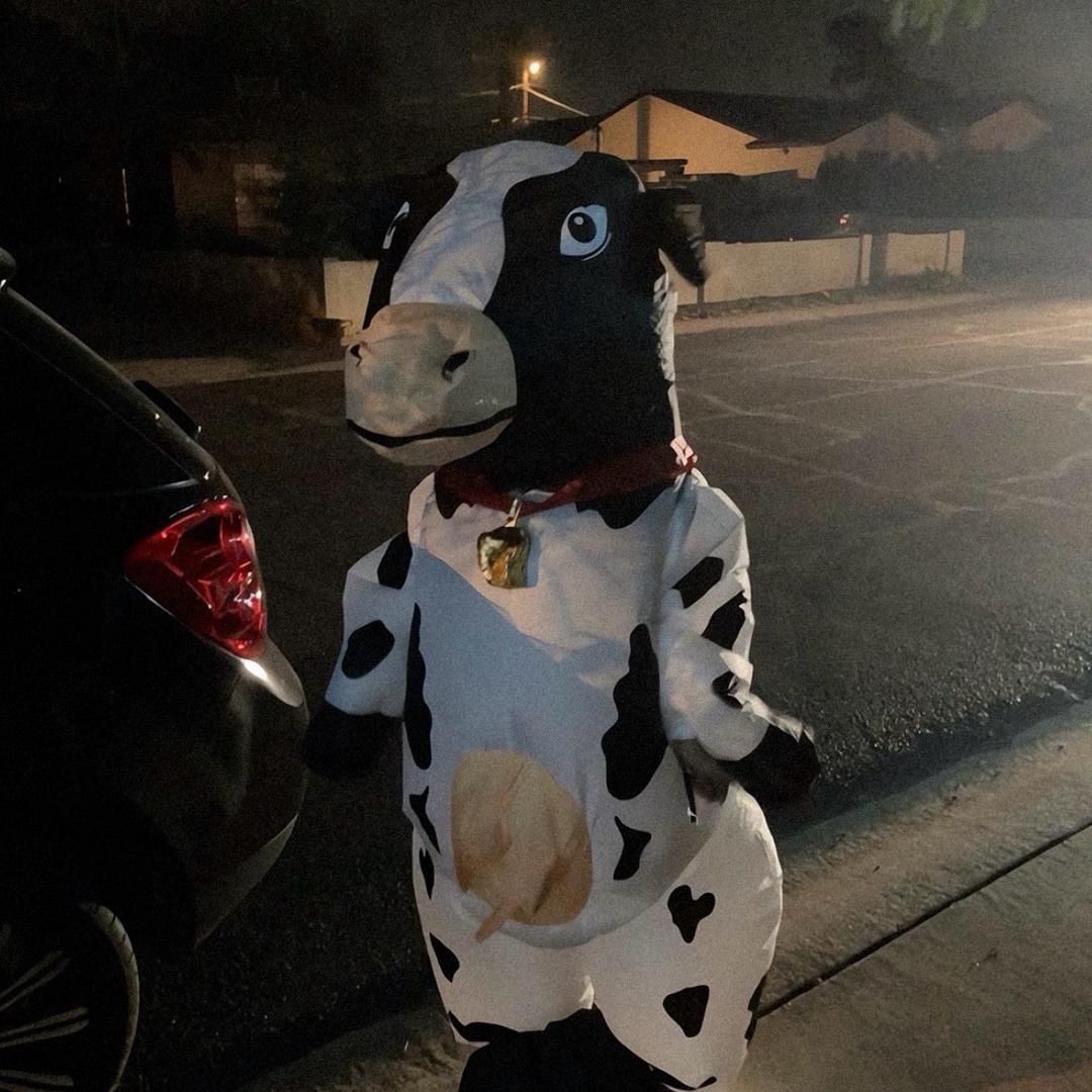 庸俗的人累我是忘本