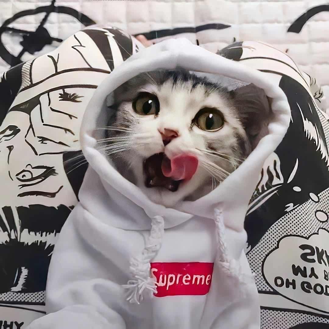 ￴ ￴￴ ￴ ￴ ￴