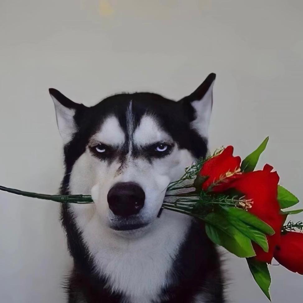 小熊零食铺🌱(原创素材提供)