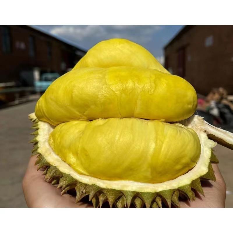 浩源果蔬