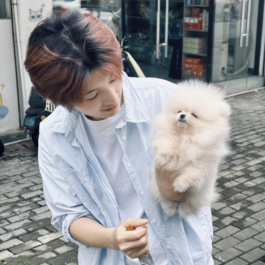 玖里宠物（直播版）