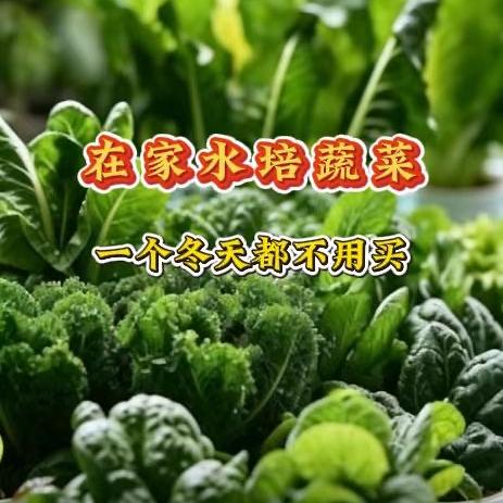 特薇赛甄选