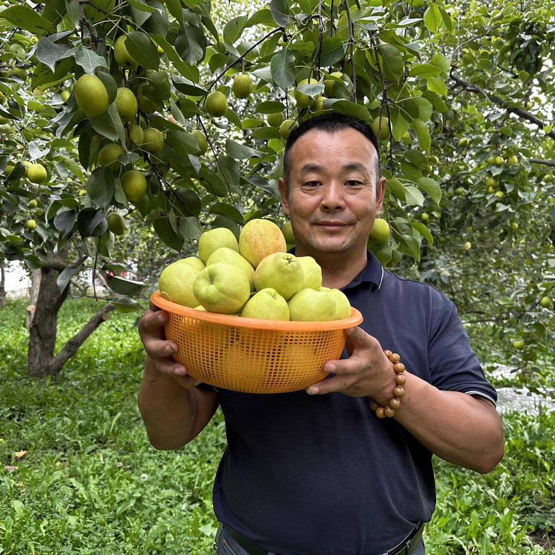 阿克苏市娜鹿湾干鲜果品批发部