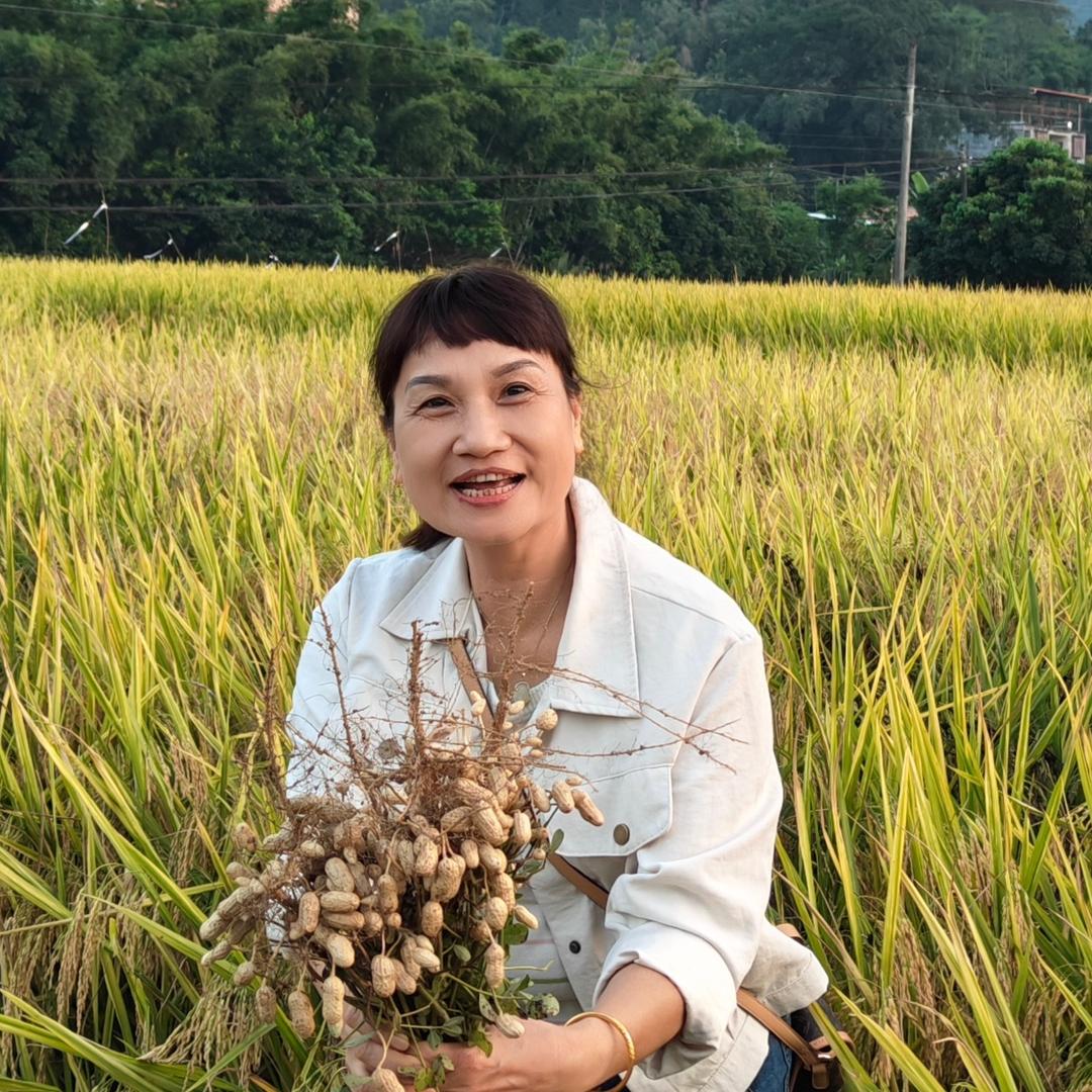 小维