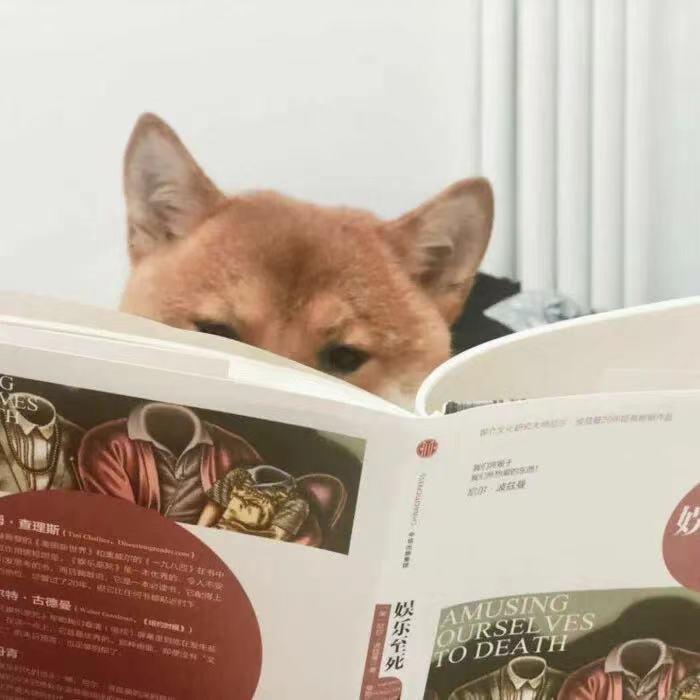 一生何求🎆