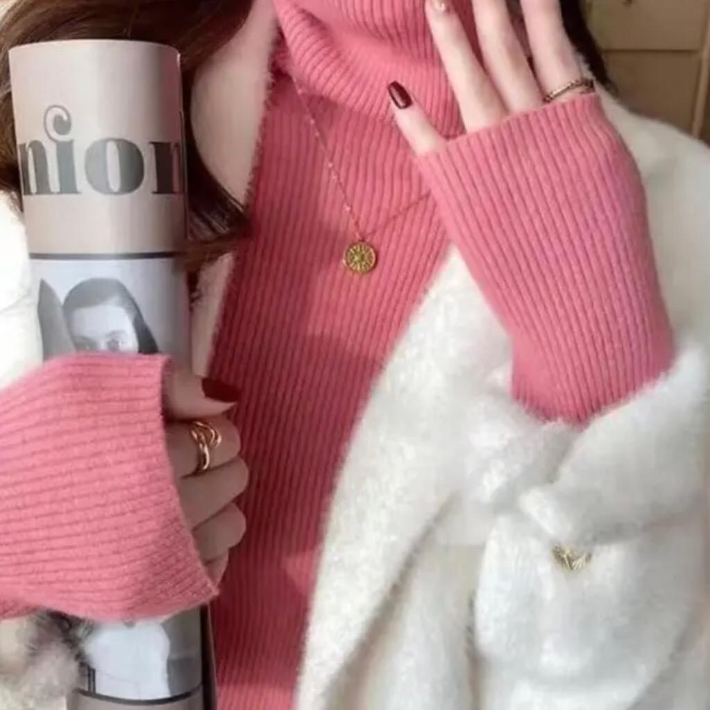 明法国进口丰田