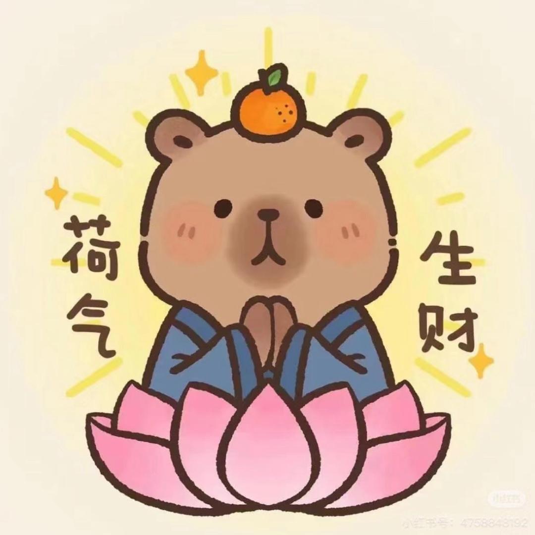 阿虾来了头像