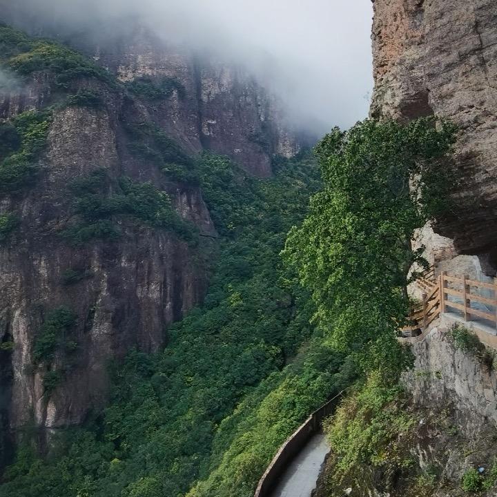 一我只是个跑腿的