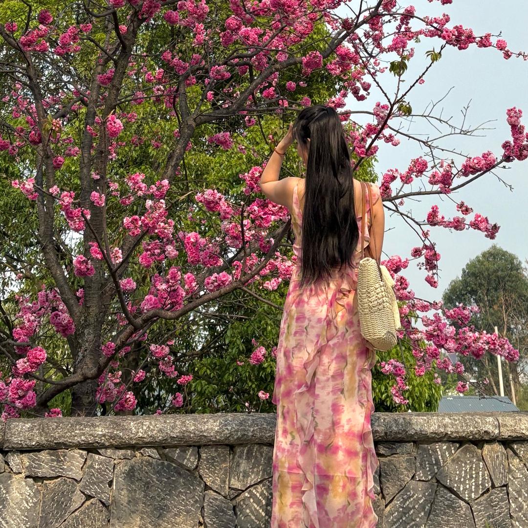 是佳鑫呀