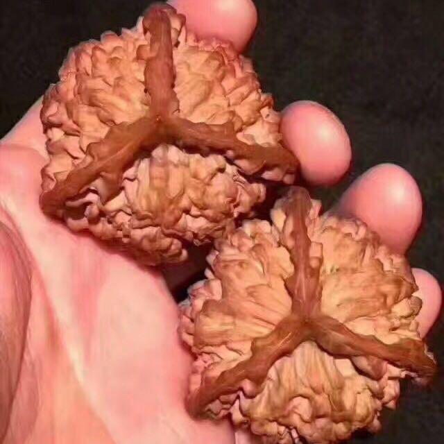 涞水麻核桃啊