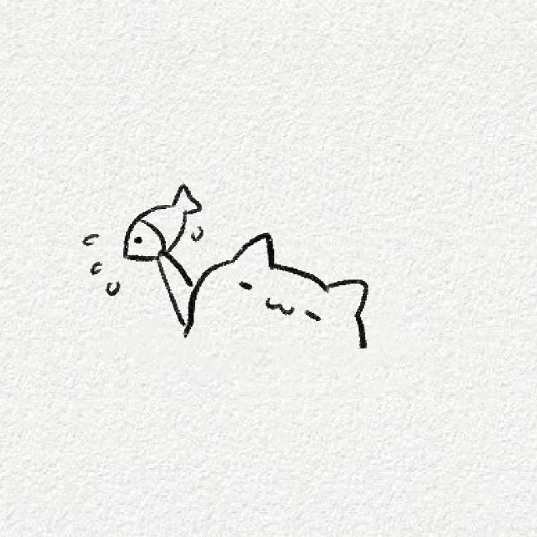 猫猫日记🐱