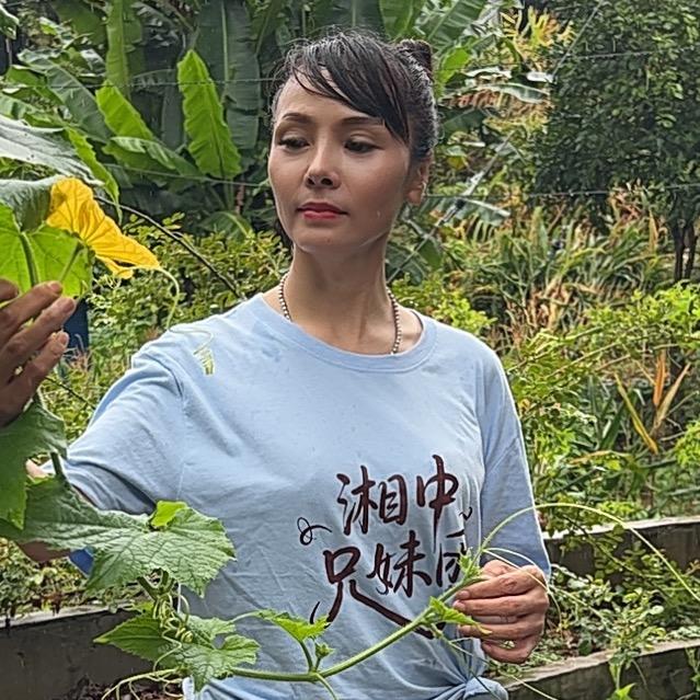 湖南玲儿晚8点半