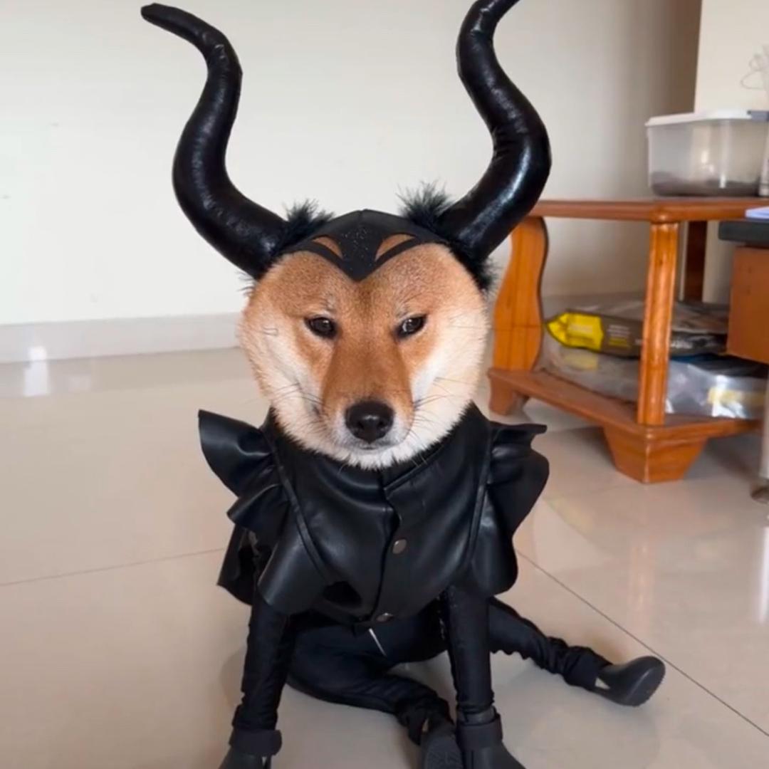 青蛙王子
