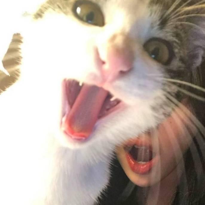 陆西骁.
