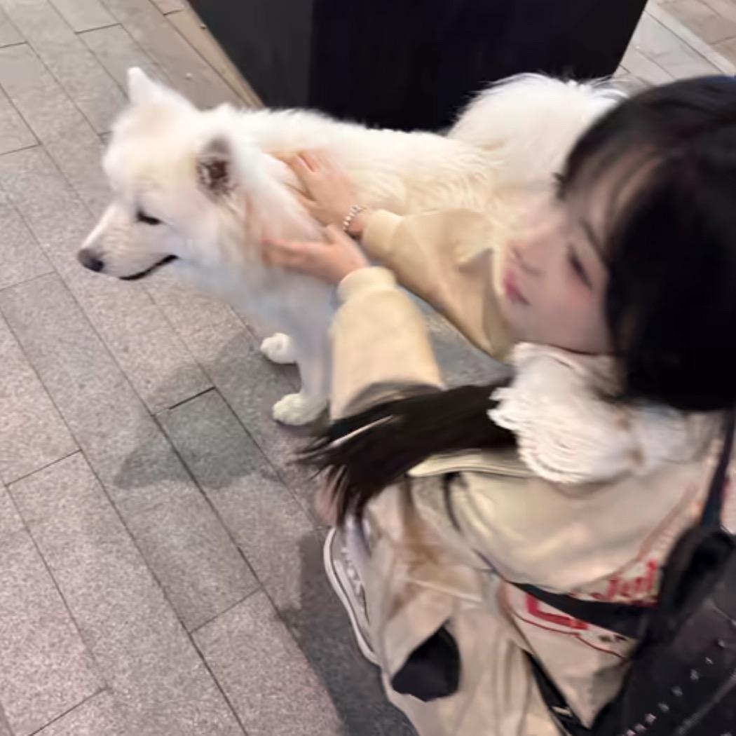 牙不齐