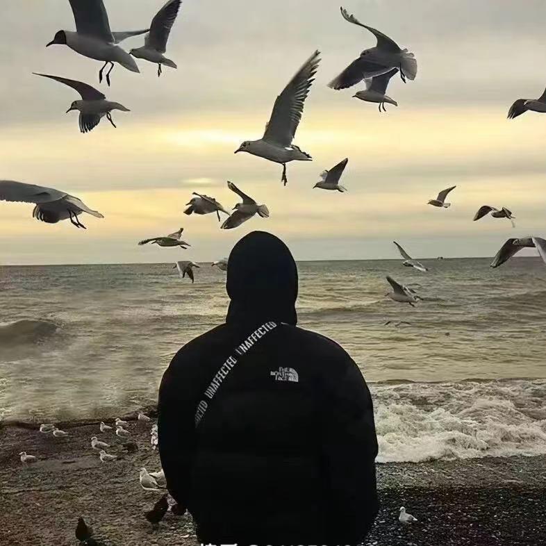 Zh·aoఌYᴗ͈ïangଇᐝ