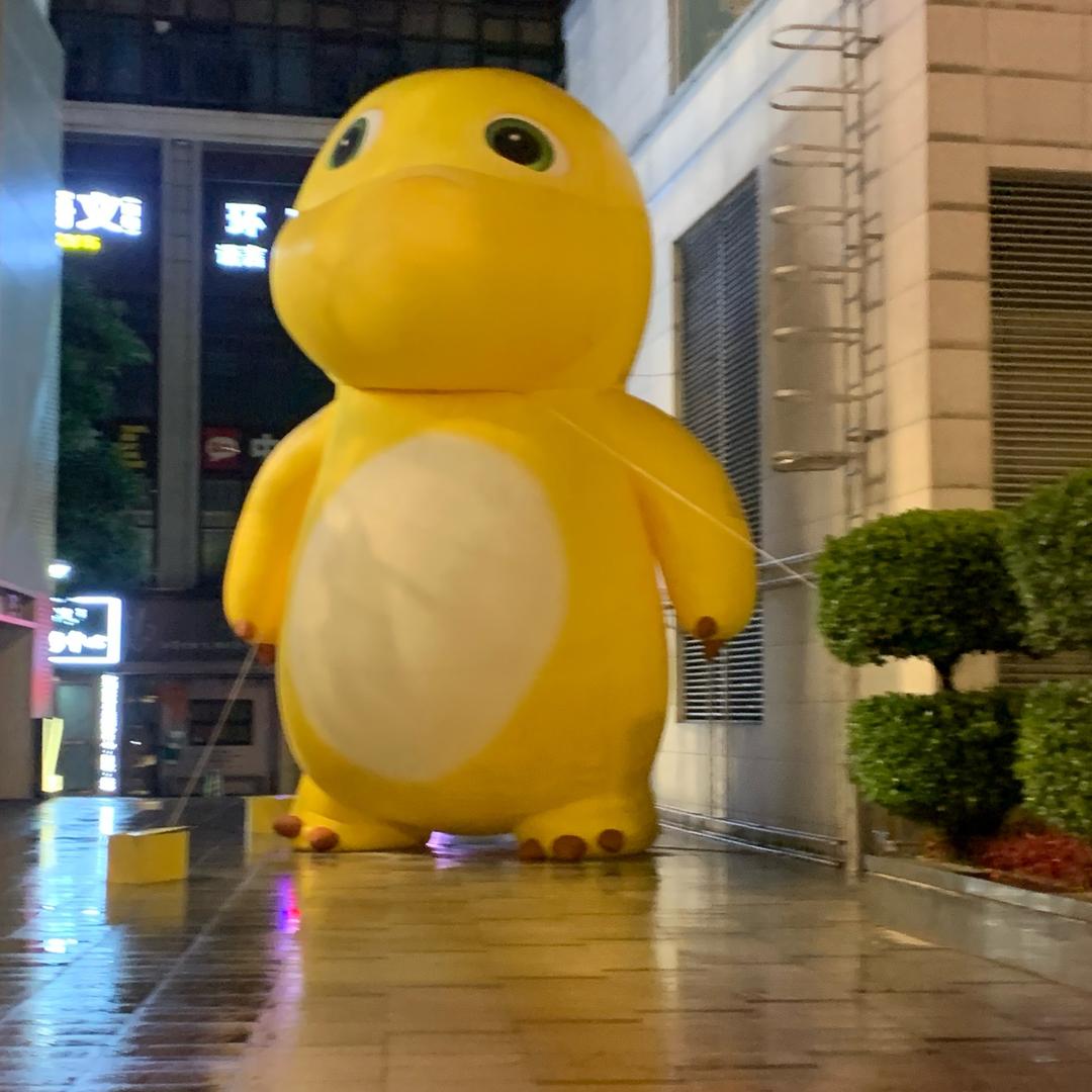 胖海