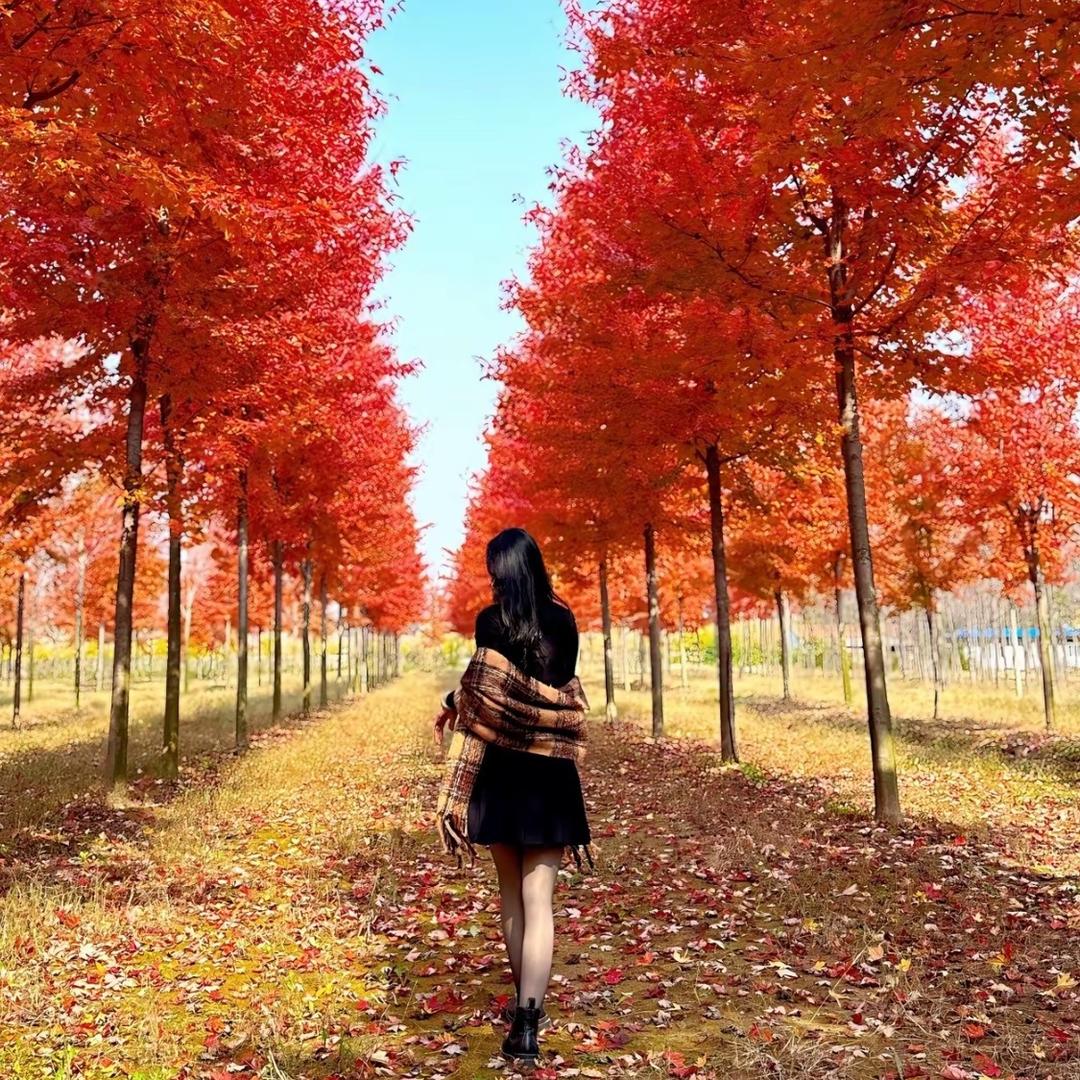 🌈諸事皆成.✨