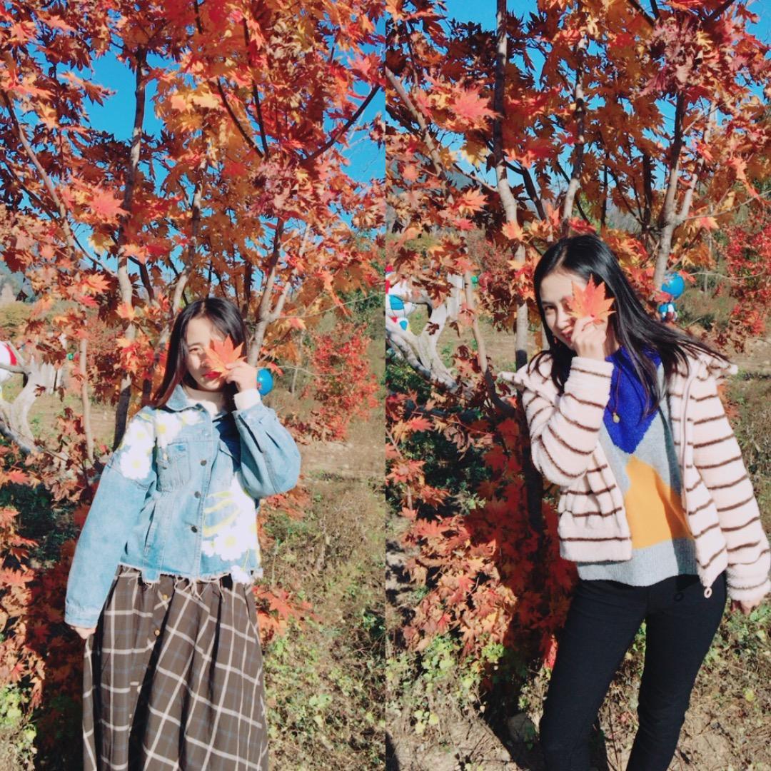 暖姑娘🍊🐰🐝