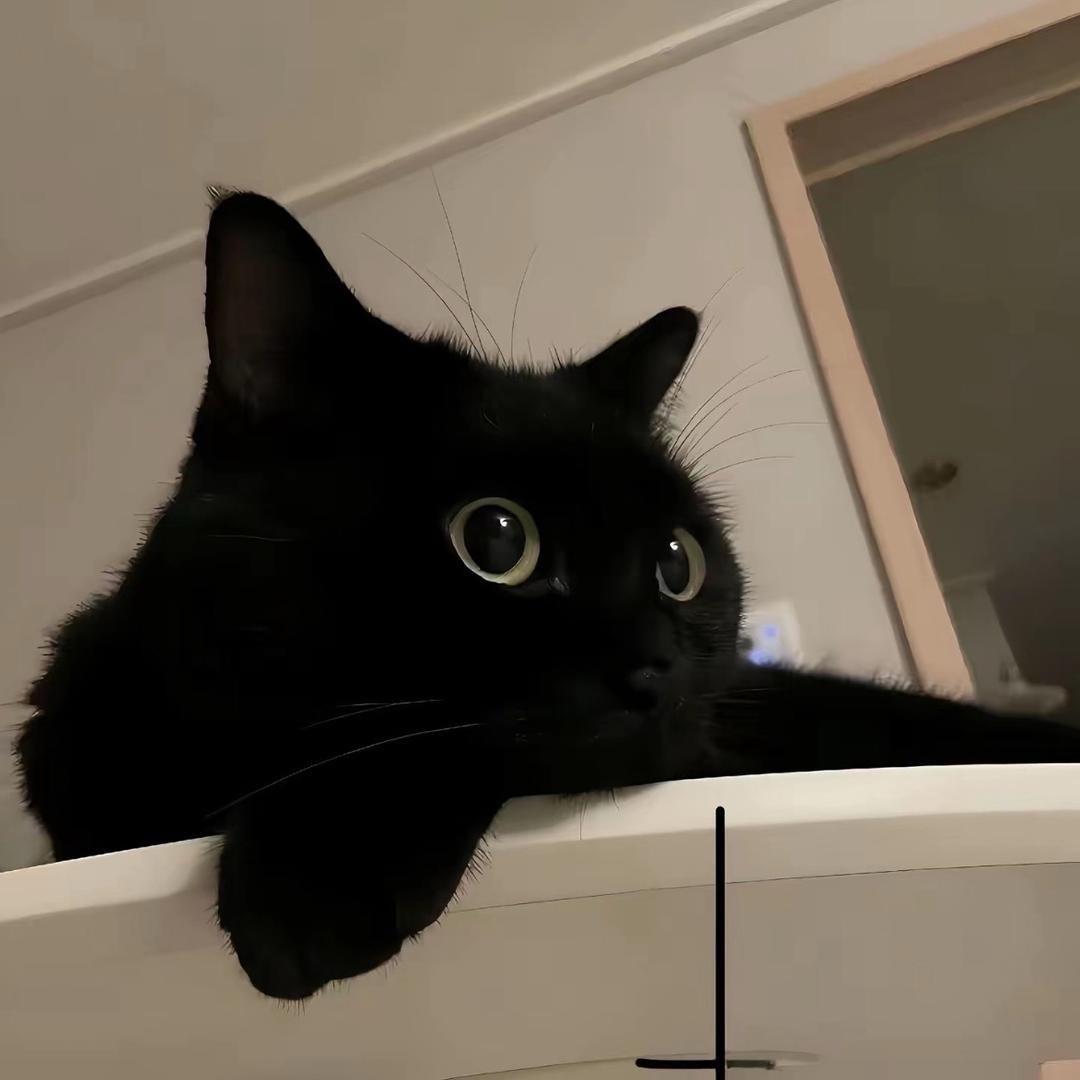 晨晨（大学生接单）