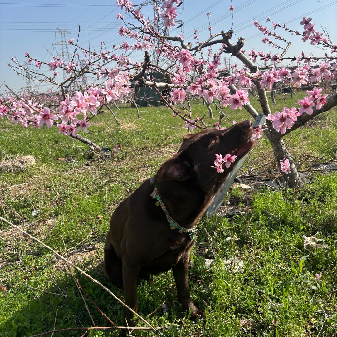 我与灵宠修仙寻长生
