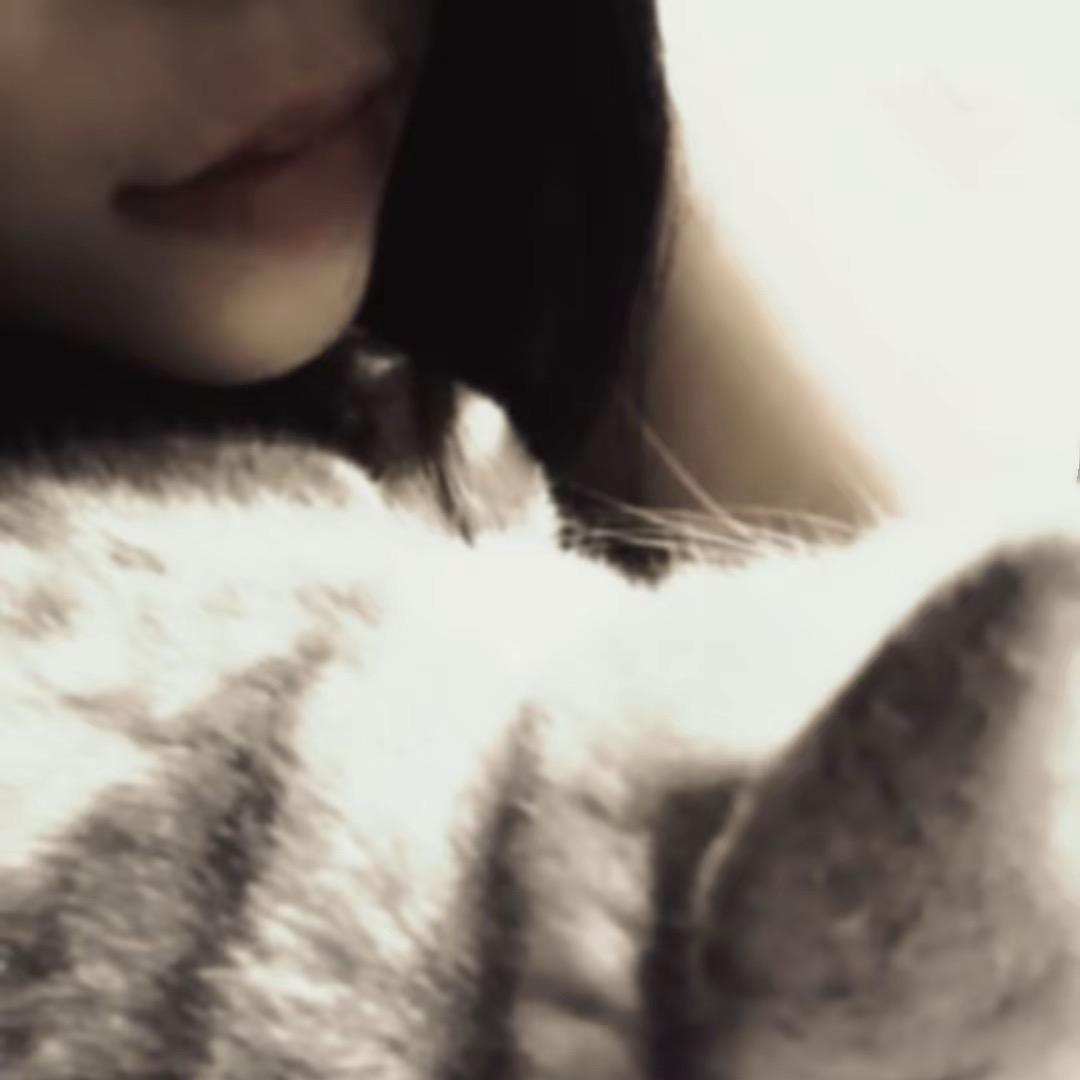 饼饼狗（🫓🐶