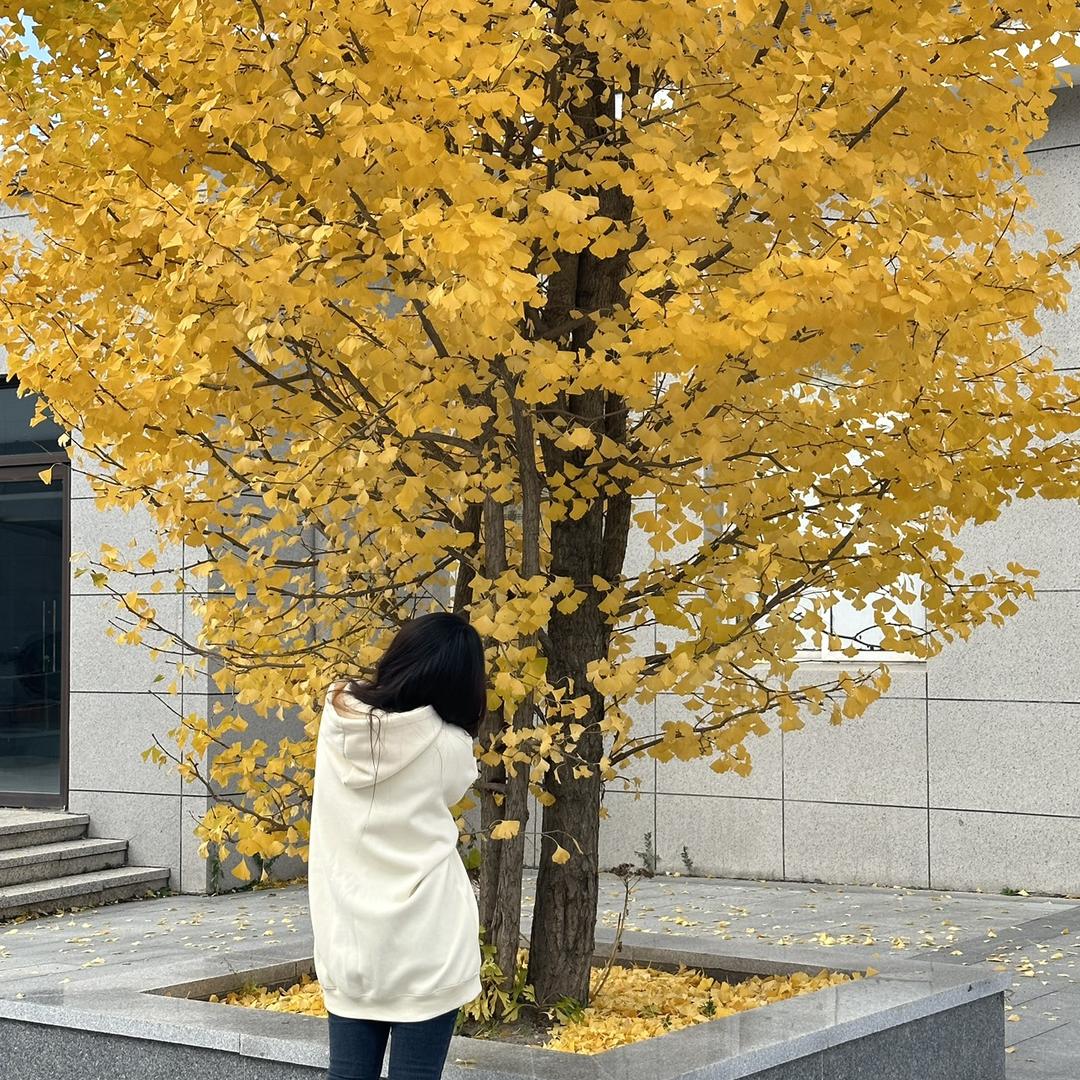 皮皮虾🐯（脆皮版）