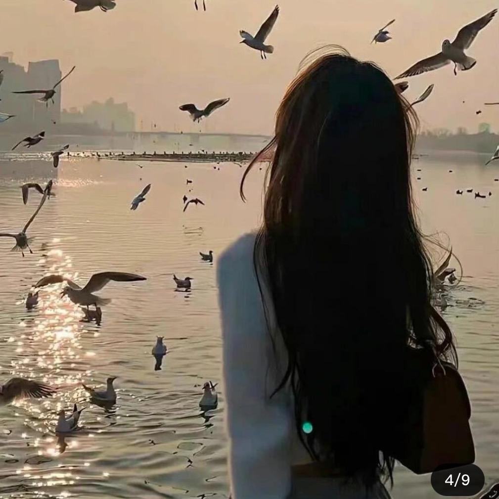麗麗服饰