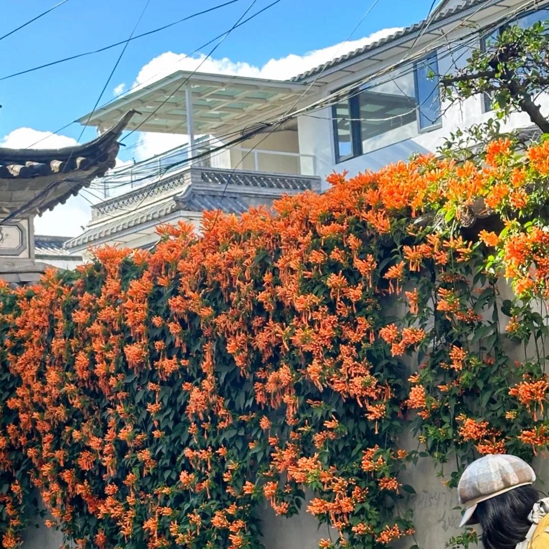 懂你/