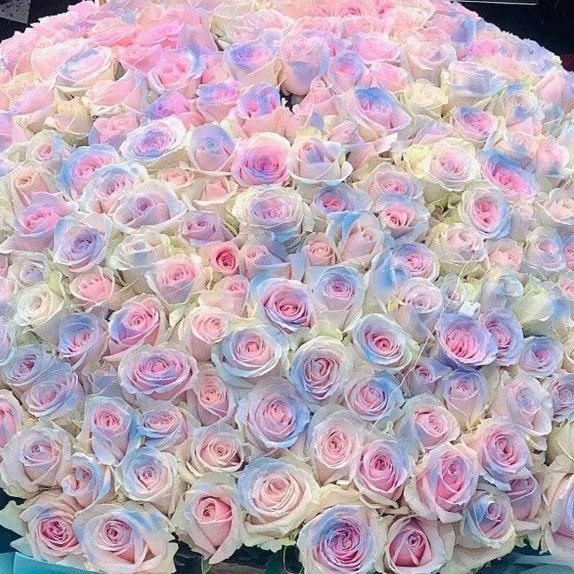 一一💗
