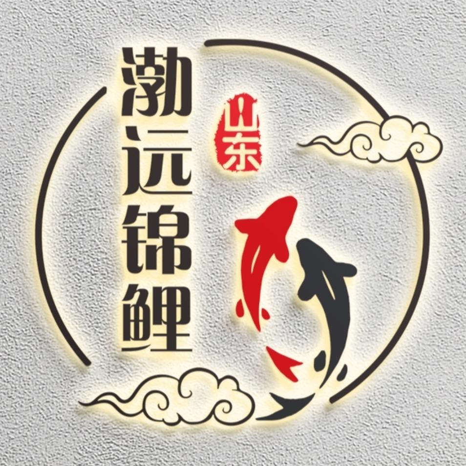渤远锦鲤