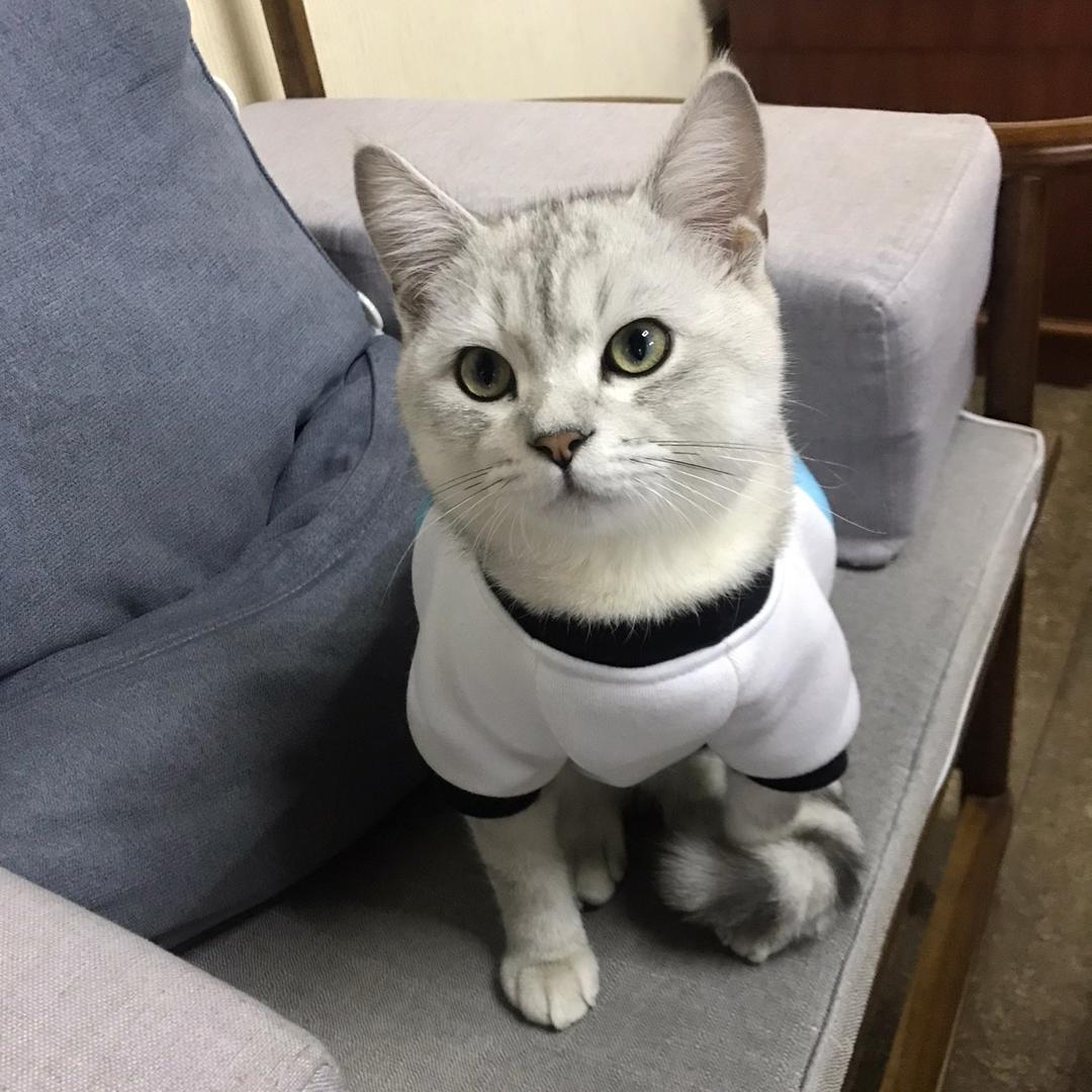 涵韵