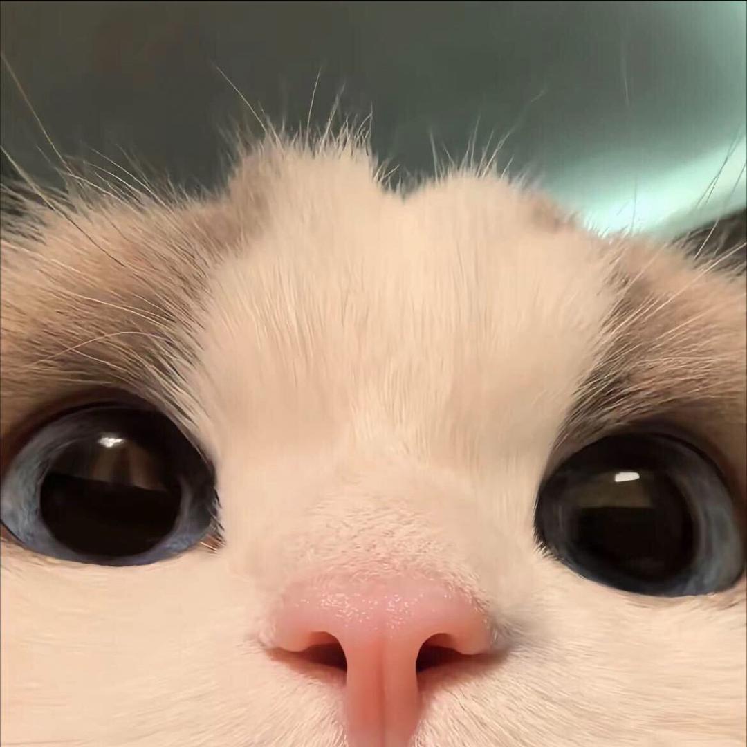 ～