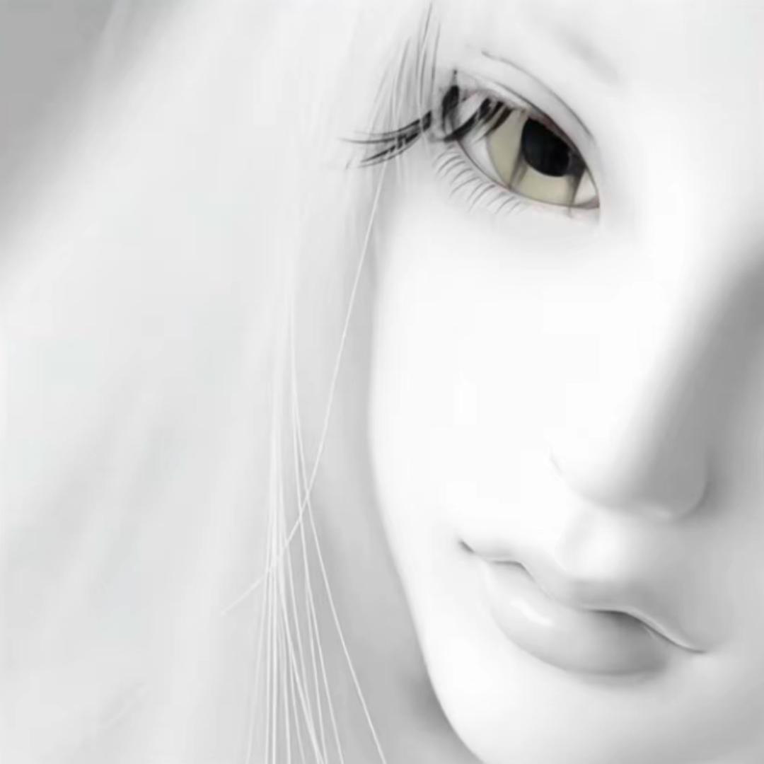 没鲜花