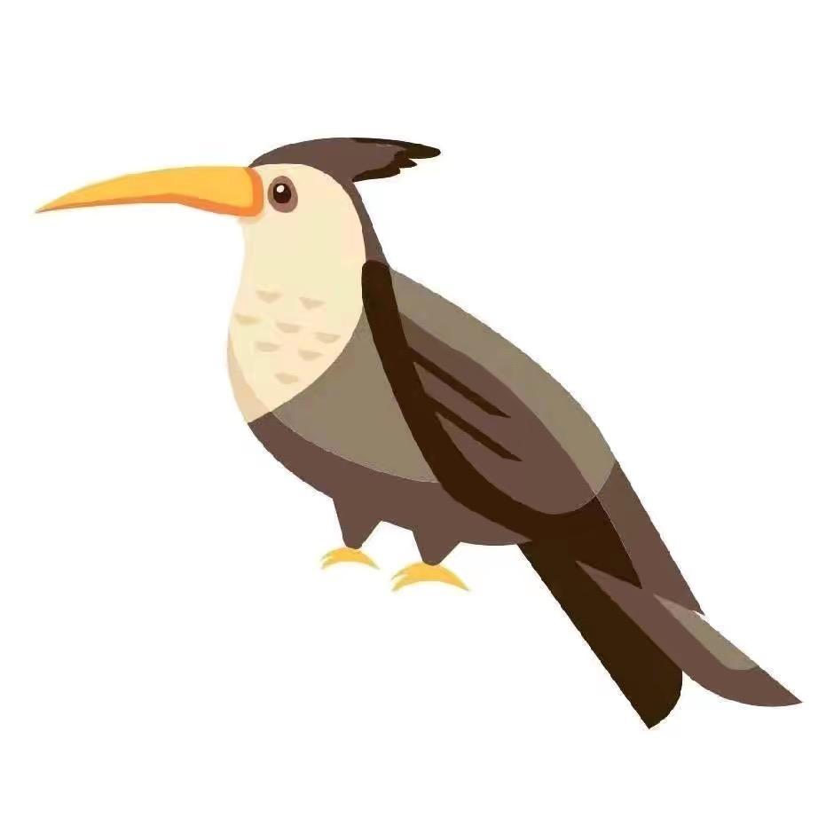 柜柜软件官方销售中心