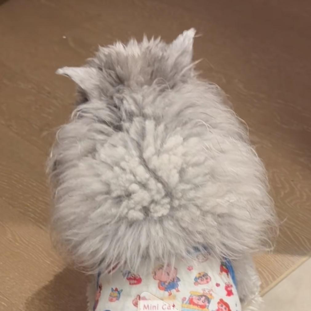 通知.